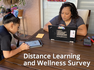 Distance Learning, Mother and Child using computers 